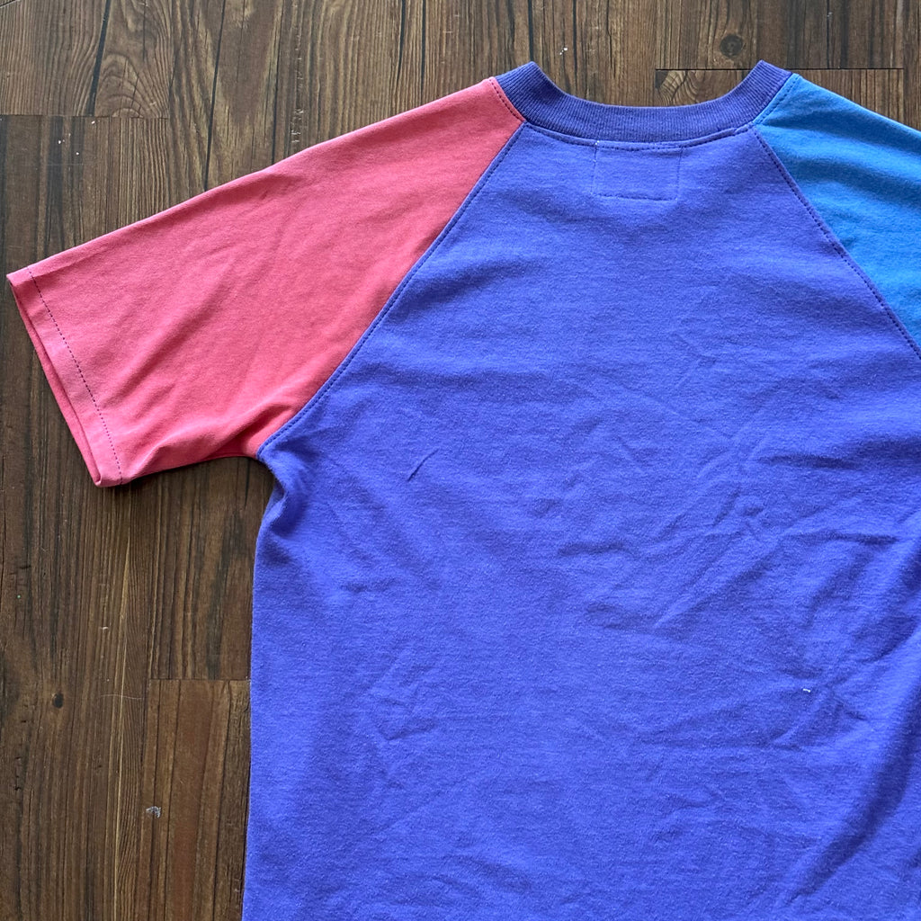 Monarchs Deconstructed Raglan (Small)