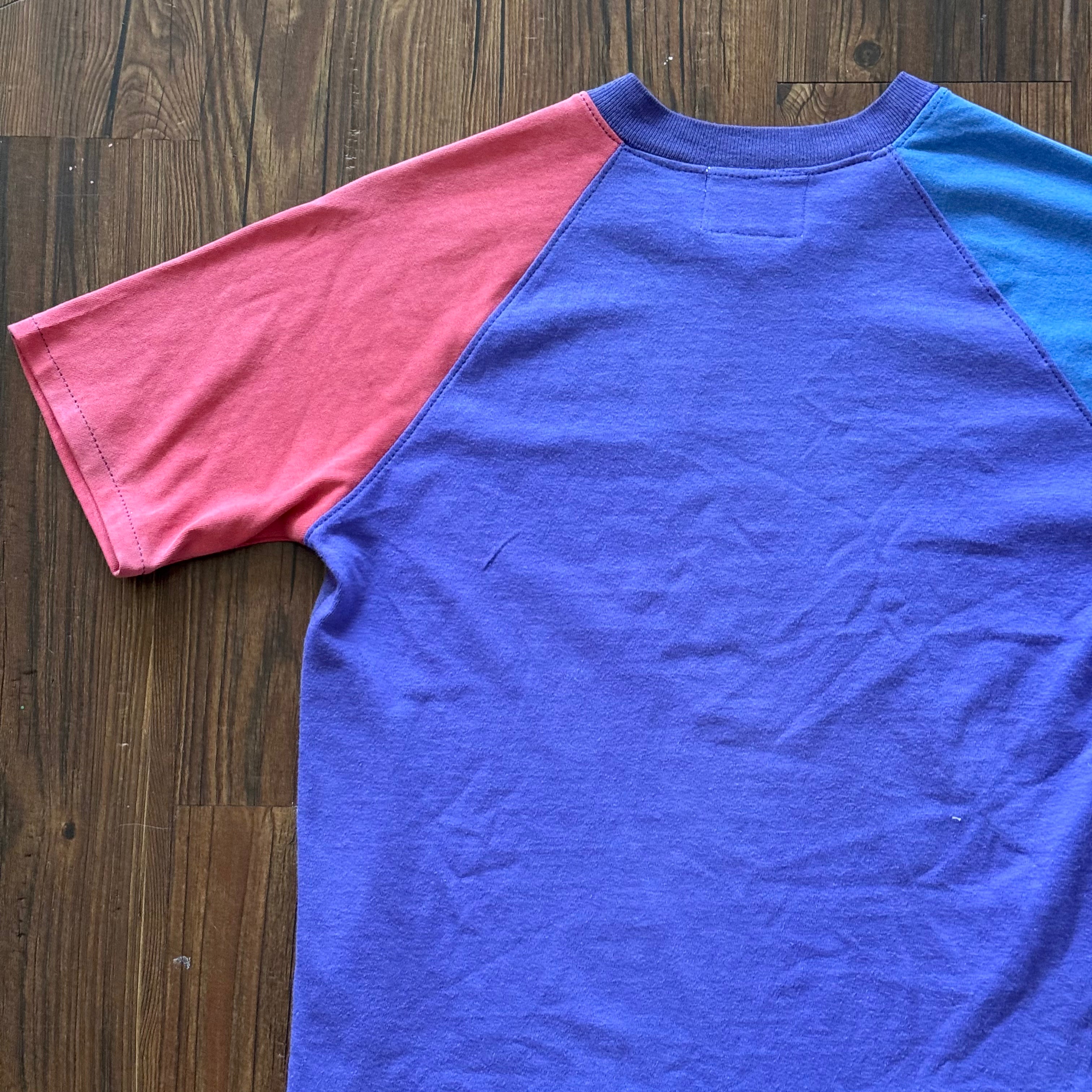 Monarchs Deconstructed Raglan (Small)