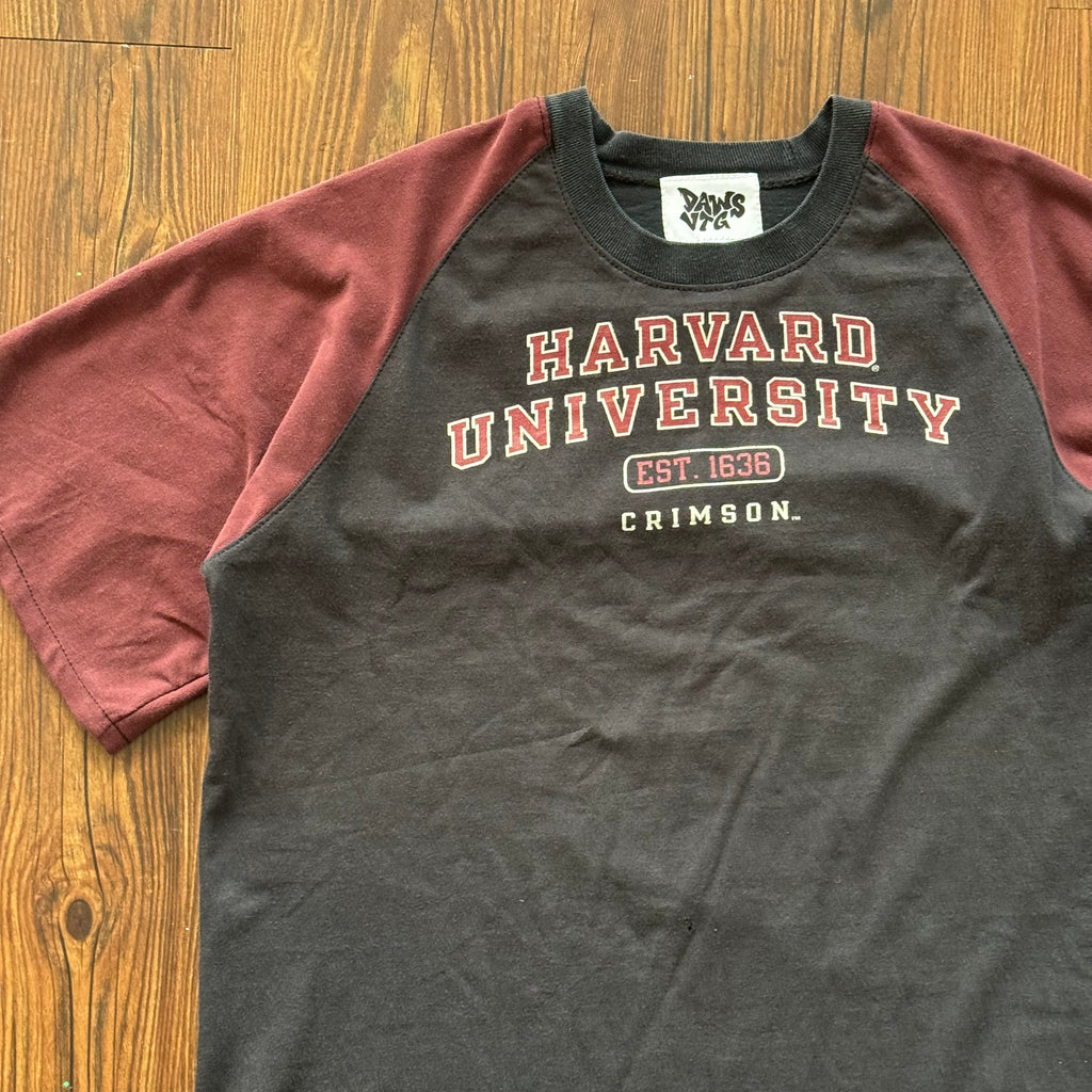 Harvard Deconstructed Shirt (Large)